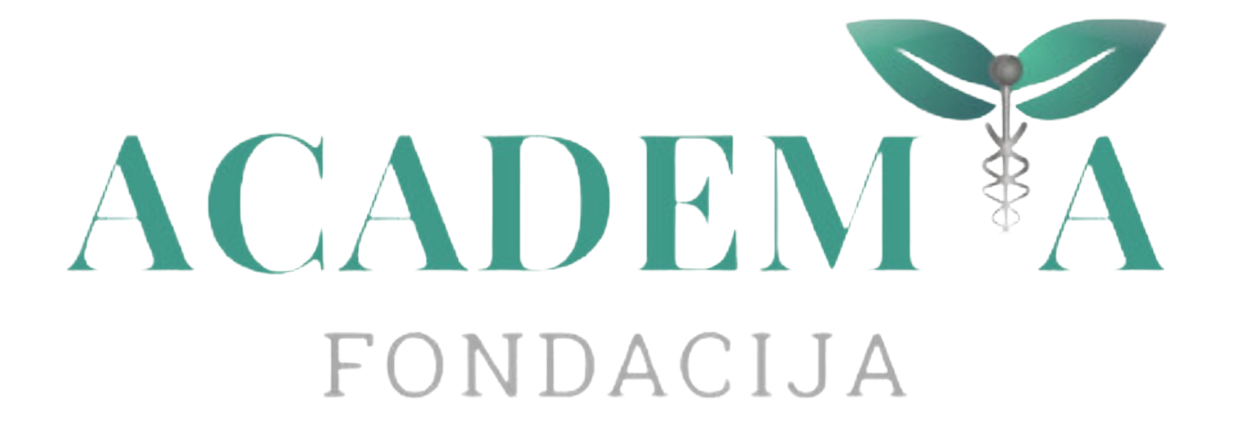 Fondacija Academia